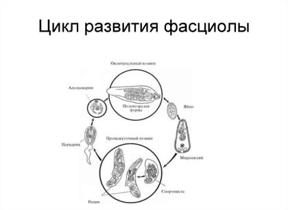 https://cf.ppt-online.org/files/slide/x/Xg7PbL0ZA82uVIdjl3HqkG65Kr1tUxTWSzFosE/slide-62.jpg