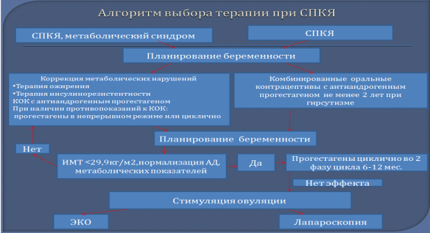 C:\Users\Администратор\Desktop\Новый точечный рисунок.bmp