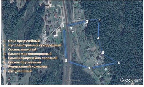 Описание: экотропа