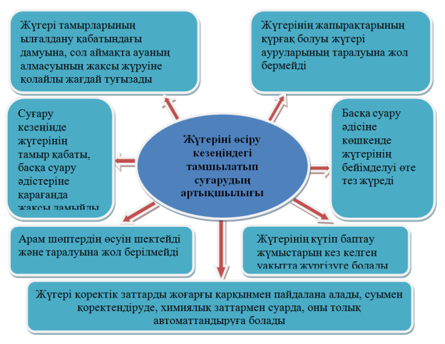 C:\Users\Дархан\Desktop\3 сурет.png