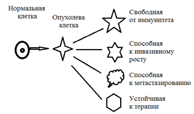 Kletka
