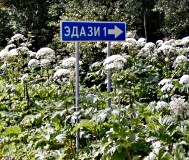 C:\Users\Sergey\Desktop\Эдази (Эстонское Калитино)\Эдази Волосовского р-на.jpg