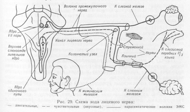 http://refl.info/sites/default/files/field/image/29_0.jpg