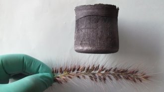 ÐÐ¾ÑÐ¾Ð¶ÐµÐµ Ð¸Ð·Ð¾Ð±ÑÐ°Ð¶ÐµÐ½Ð¸Ðµ