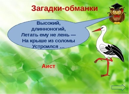 F:\загадка обманка.jpg