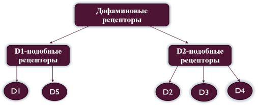 Рисунок1.png
