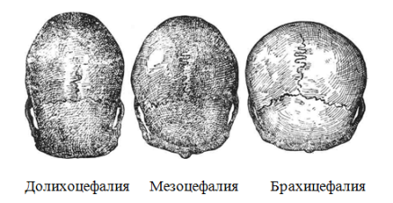 Рисунок 1.PNG