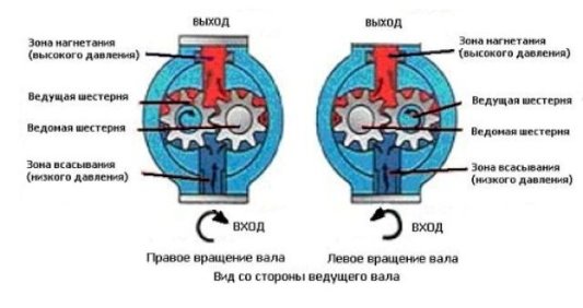 C:\Users\Никита\Desktop\Skhema-raboty-SHN.jpg