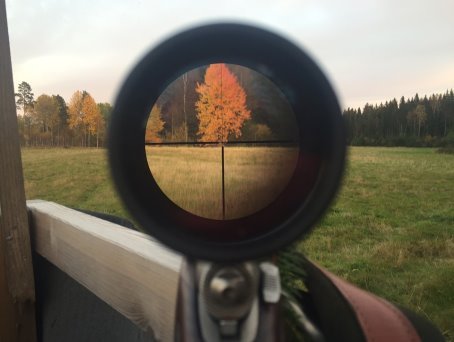 hunting-1494369_960_720