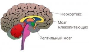 http://www.baryerov.net/wp-content/uploads/2014/02/triediniy-um-300x177.jpg