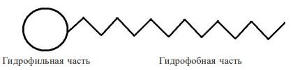 я28.JPG