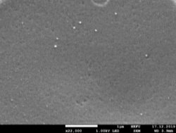 D:\17.12.19 Платонова\Platonova kap-11.jpg