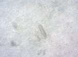 C:\Users\PC\Downloads\Snap-2818-Image Export-10.jpg