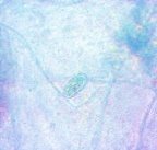 C:\Users\PC\Downloads\Snap-2815-Image Export-13.jpg