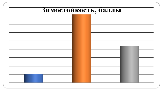 Распределение образцов озимого ячменя по зимостойкости