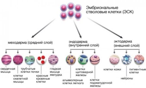 https://pp.userapi.com/c840120/v840120897/7a7d7/u30QVGjcSn0.jpg