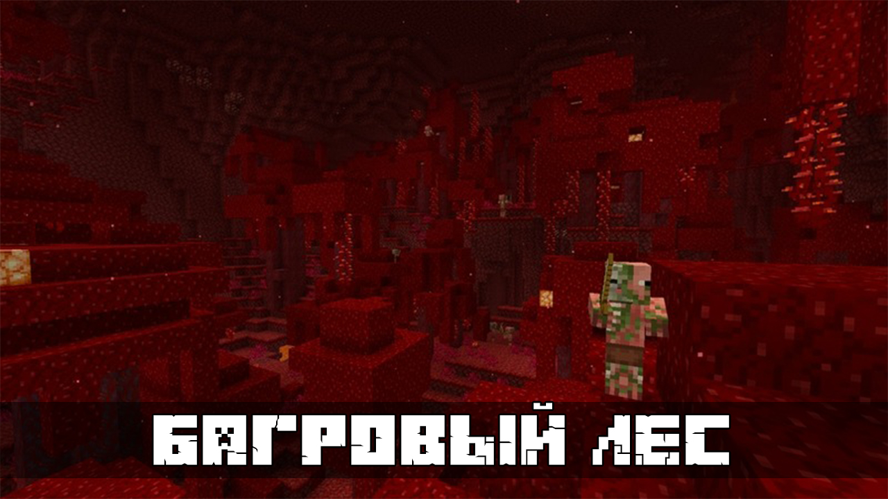Багровый лес в Майнкрафт 1.16.40