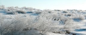 http://www.brsu.by/sites/default/files/turkmen/image001_2.jpg