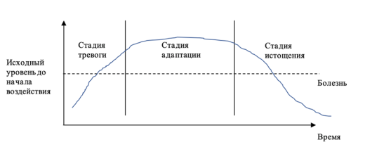 : Стадии стресса по Селье Г