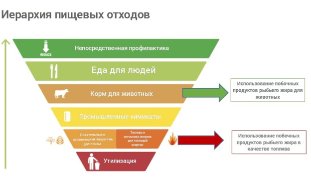 Иерархия пищевых отходов