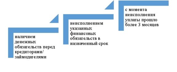 Аспекты неплатежеспособного лица [5]