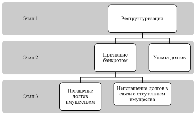 Процедура банкротства физических лиц [5]