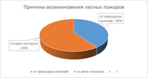 Причины возникновения лесных пожаров