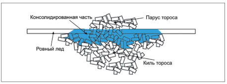 Структура тороса [16]