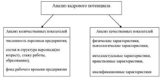 Направления анализа кадрового потенциала