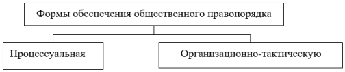 Формы обеспечения общественного правопорядка
