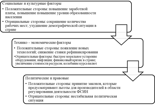 STЕР-анализ окружающей среды УФСИН России по Московской области