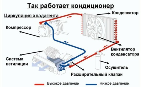 C:\Users\Вячеслав\Desktop\scale_1200.jpg