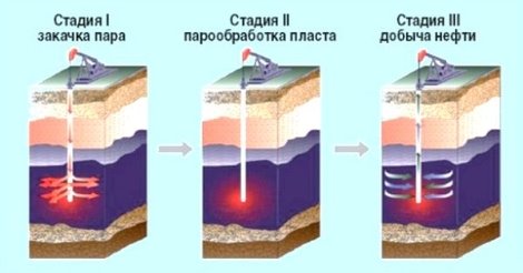 Проведение ПЦО