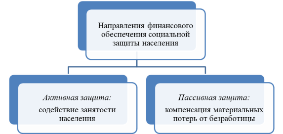 Направления финансового обеспечения социальной защиты населения