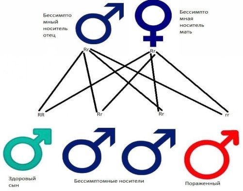 Рецессивный образец наследования