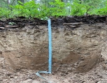 Мелкоподзолистая среднесуглинистая почва на моренных тяжелосуглинистых отложениях