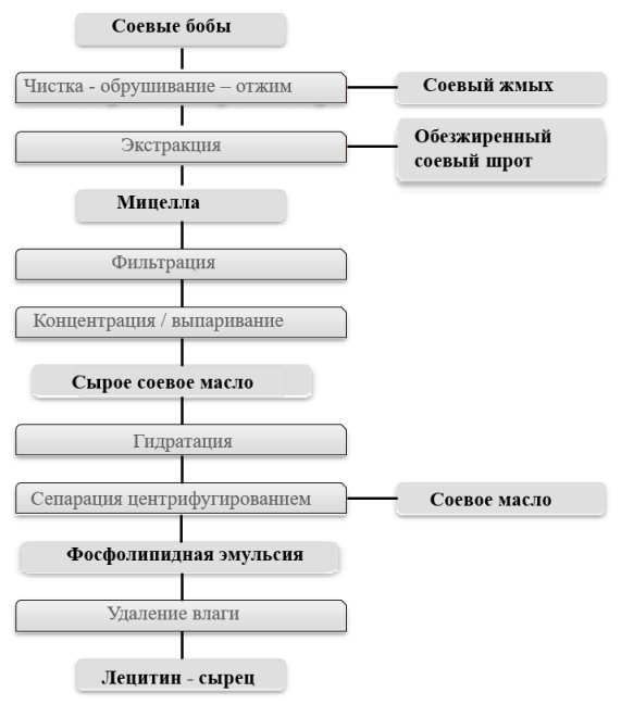 Технологическая схема получения лецитина [1].