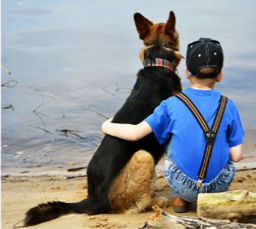 https://fsd.videouroki.net/html/2017/06/02/v_5931aafb9d191/99690921_1.png
