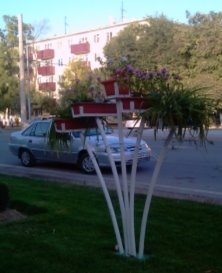 Растения в вазах и контейнерах