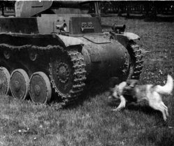 A picture containing grass, outdoor, field, military vehicle

Description automatically generated