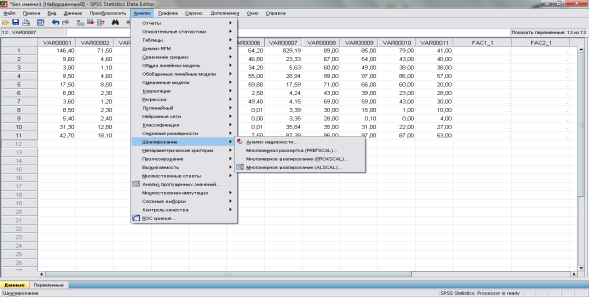 Окно SPSS