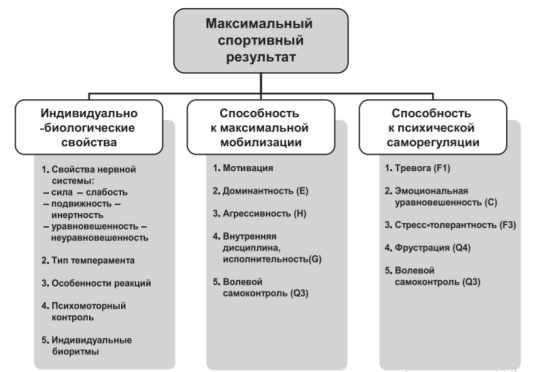 Функциональная структура актуальных отрезков спортивной деятельности