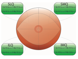 DIEP flap pressure thresholds at 6 months postopera-tively. SLQ, superior lateral quadrant; SMQ, superior medial quad- rant; ILQ, inferior lateral quadrant; IMQ, inferior medial quadrant; 1-Sp, one-point static discrimination; 1-Mp, one-point moving discrimination; 2-Sp, two-point static discrimination; 2-Mp, two- point moving discrimination
