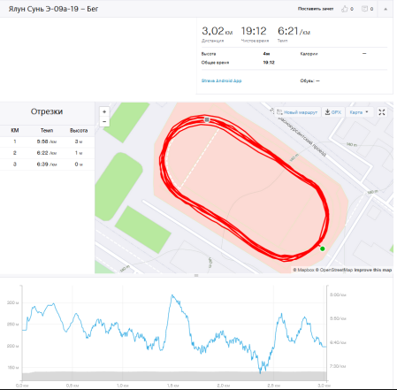 Отчет по забегу в мобильном приложении Strava