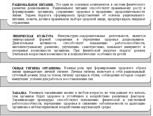 Составляющие формирования представлений о здоровом образе жизни в практике дошкольного образования