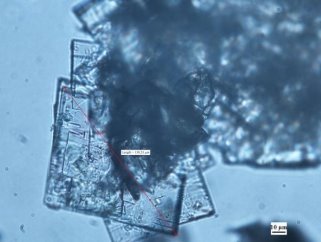 Микрофотография Nа4 [NiMo6O18(OH)6]·6H2O