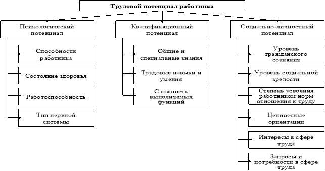 Схема трудового потенциала работника
