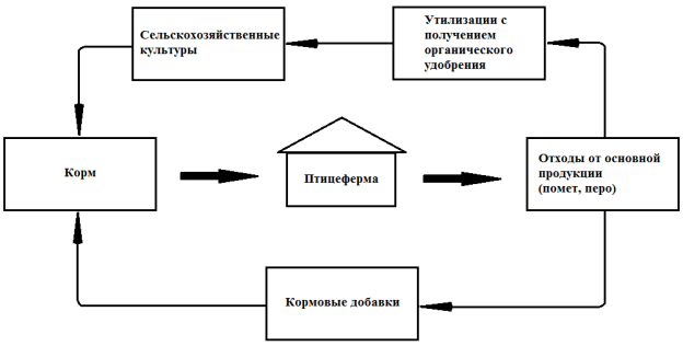 Принципиальная схема структура замкнутого производства продукции в птицеводстве
