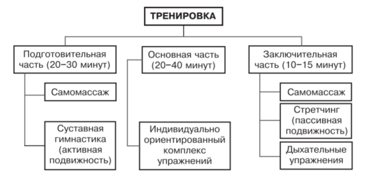 Схематическая структура спортивных тренировок