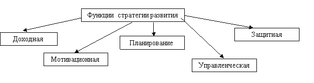 Классификация функций стратегии развития бизнеса